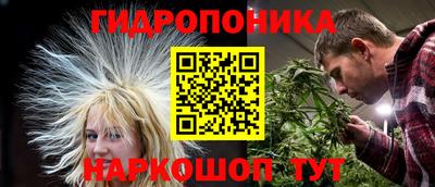 тгк Аргун